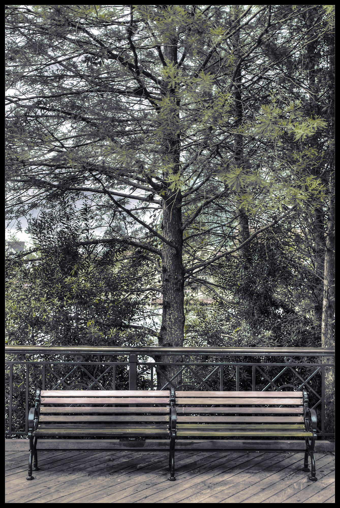 A selective color photograph of a park bench.